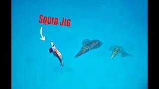 Schools Of Squid In Clear Water And Herring On Soft Plastic - Kangaroo Island Kayak Fishing