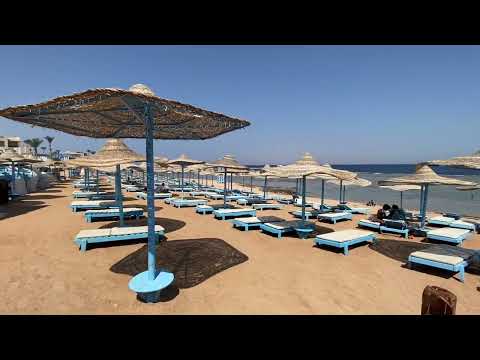 Rehana Royal Beach Resort u0026 Spa и Rehana Sharm Resort - Aquapark u0026 Spa Популярный отель Свежий обзор