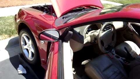 Cammed 4.6 v8 mustang open headers