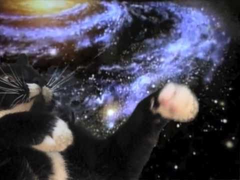 iek: Space-Cat