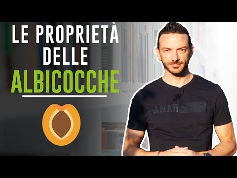 Video: Albicocche E Albicocche Secche: Differenze