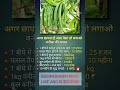 जिंदगी बदलने वाला बिज़नेस माइंडसेट🔥 #motivation businessideas success #money