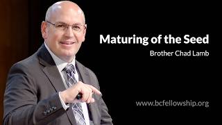 260809 - Chad Lamb: Maturing of the Seed