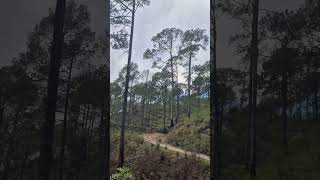 #visitnepal #nature #nepalisong #travel #nepalicommunity #automobile #love #vlog #nepal #song #expo