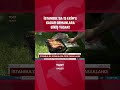 İstanbul'da 15 Ekim'e Kadar Ormanlara Giriş Yasak! #shorts