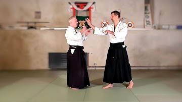 Aikido principles: Mushin (無心 = No-Mind) - Aikido Virtual Dojo