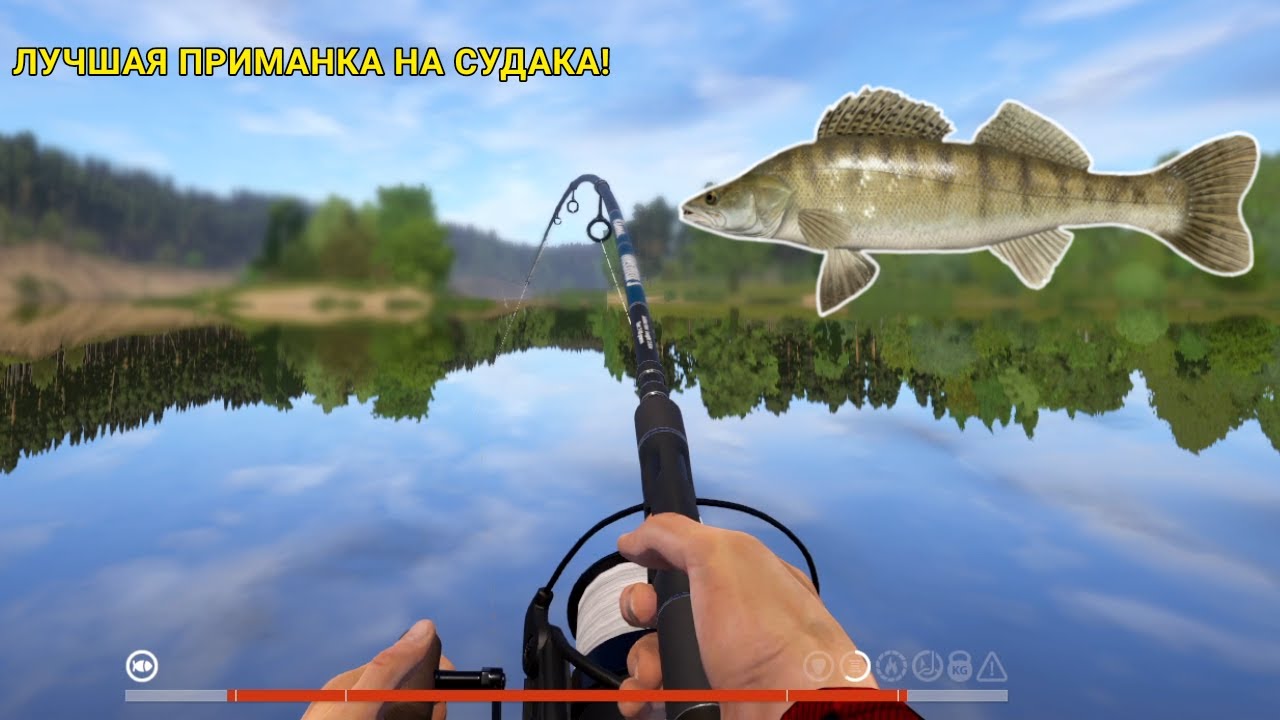 ЛУЧШАЯ ПРИМАНКА НА СУДАКА! БЕЗУМНАЯ БОРЬБА С ОГРОМНЫМ СОМОМ!