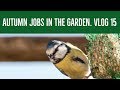 Autumn jobs in the garden, vlog 15