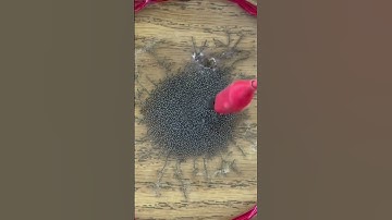 Self-Assembling Wires in RamZland!⚡️ #STEM #wearewayne #bpeknights #stemlearning #RamZland