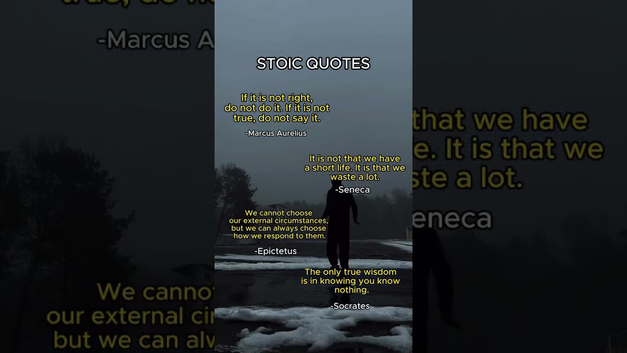 Stoic quotes you need to hear 