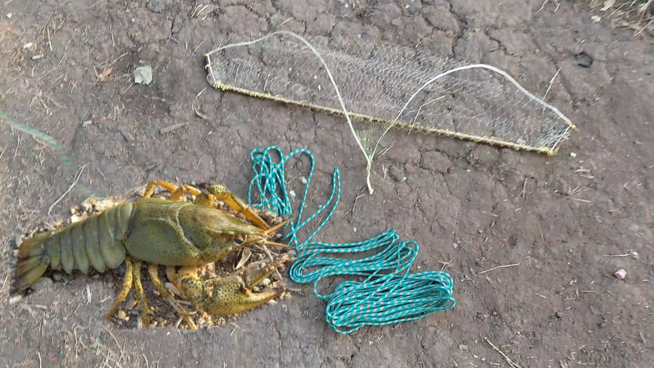 Ловлю рака на касынку,необычный способ