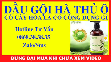 🔴 DẦU GỘI THẢO DƯỢC HÀ THỦ Ô CỎ CÂY HOA LÁ CÓ CÔNG DỤNG GÌ? REVIEW DẦU GỘI HÀ THỦ Ô 0868.383835
