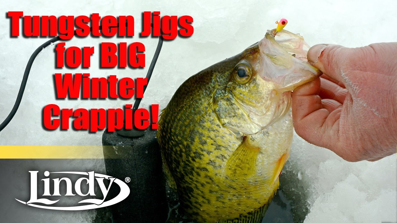 Ice Fishing with Tungsten Jigs for BIG Crappie Lindy Tungsten Bug