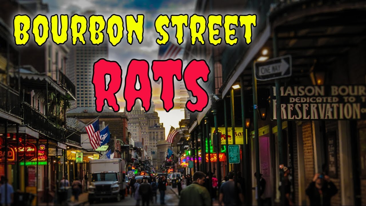 Slapstick Comedy | RATS in New Orleans | COVID-19 " NO MORE MARDI GRAS"
