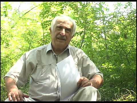 აჩრდილი