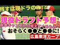 【広島東洋カープ】秋季キャンプから見えてくる、現役ドラフト候補とは・・・！？　前回の予想から少し変更しております　【林晃汰】【遠藤淳志】【高橋昂也】【黒田博樹】【新井貴浩】【カープ】