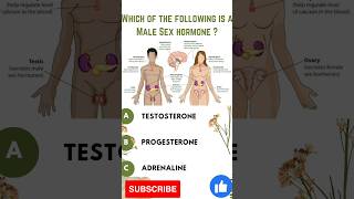 GK Questions and Answers l Male Sex Hormone gk science gkfacts shortsfeed generalknowledge