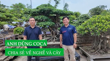 Cây không chỉ đẹp – Anh Dũng Coca chia sẻ góc nhìn nghệ nhân | Việt Nam hương sắc