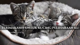 Untuk Hewan Peliharaan Ku  || Musikalisasi Puisi (Riry)