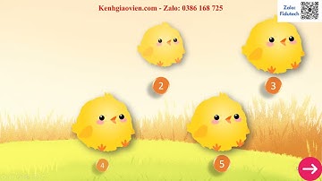 Trò chơi khởi động HĐTN 6 Cánh diều CĐ 7 ND 1: Thách thức của thiên nhiên |AI HĐTN 6 Cánh diều