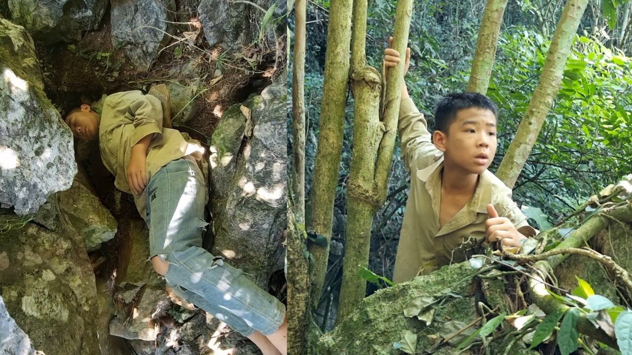 Lost mother, boy determined to search for mother in the forest - YouTube