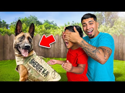 New Dog Surprise *Police Trained*
