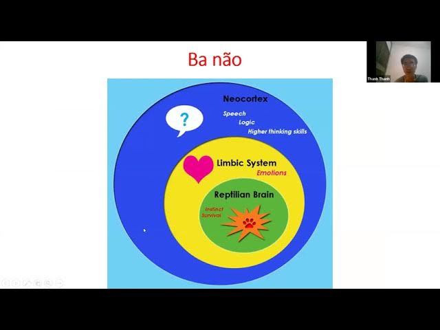 Outline Video System Writing | K03 | Buổi 2