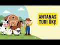 Antanas Turi Ūkį 🐄🐔 Vaikiška Daina su Garsais | Linksmas Kaimietis TV | Karvė, Višta, Avis, Žirgelis