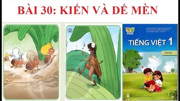 [Kể chuyện lớp 1] Bài 30: Kiến và dế mèn | Sách Kết nối tri thức với cuộc sống.
