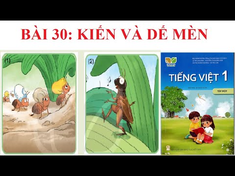 Bài 30: Kiến và dế mèn [Kể chuyện lớp 1]