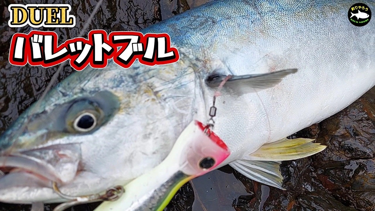 【ロックショア】おすすめ！良く釣れるルアーはバレットブル！