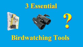 How to Get Started Watching Birds: 3 Essential Tools
