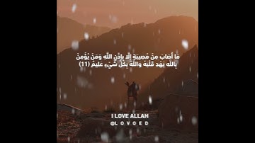 سورة التغابن ياسر الدوسري الايه 9الي 12 - سورة التغابن ياسر الدوسري