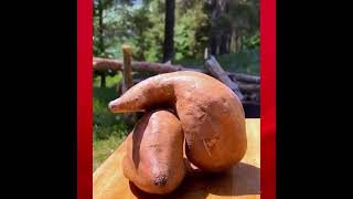 0823 11