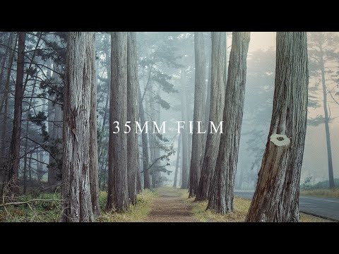 What Is The Best 35mm Film For Landscape Photography?