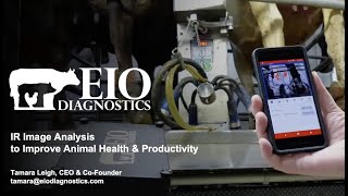 EIO Diagnostics: A New Solution for Udder Health in Dairy Cows