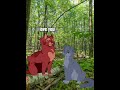 Epic POV of Bluestar and Oakheart! 🐾 #WarriorsEdit