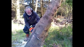 Husqvarna 380cd rebuild Heavy Leaner Triple Co-Dom by Mrs Digwells Watches over ''The Old Fella'' 318 views 9 days ago 7 minutes, 38 seconds