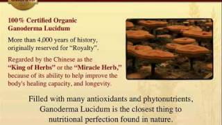 Organo Gold Presentation Flv Shoemaker
