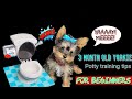 Indoor Puppy Potty Training for Beginners! (3 month old Yorkie)