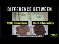 Milk Chocolate vs Dark Chocolate: Key Differences & Benefits 🍫