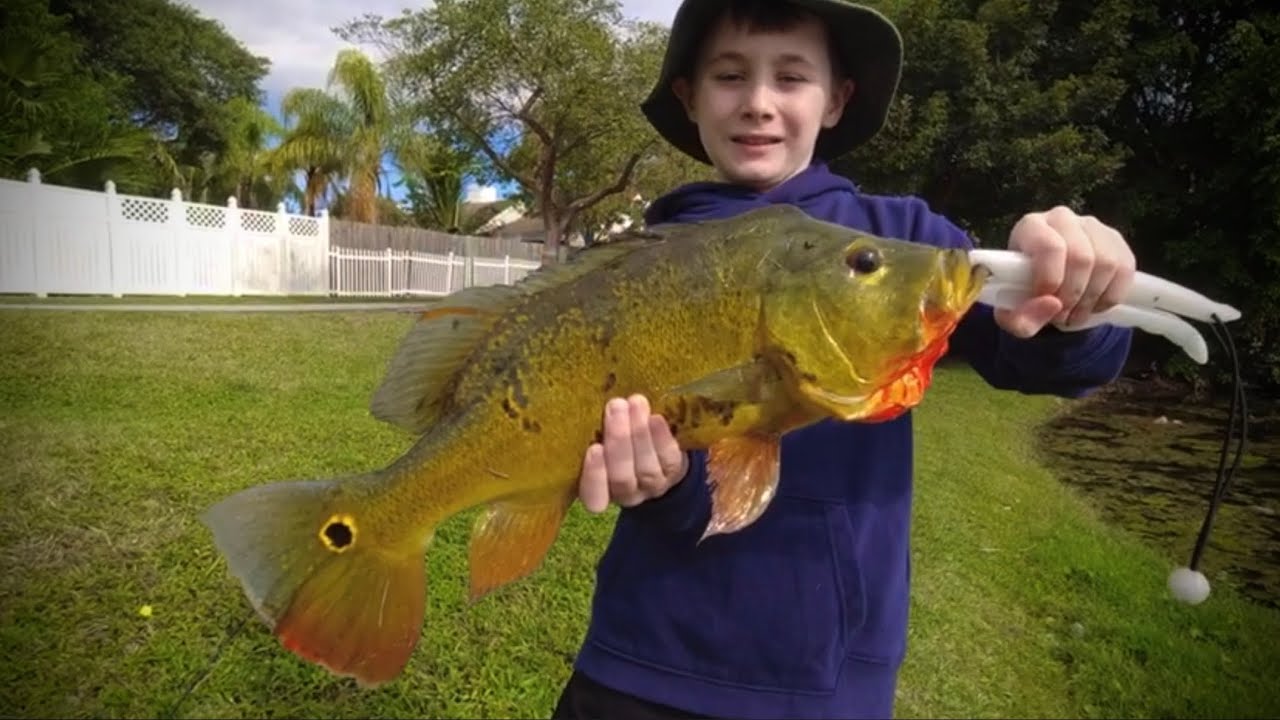 where-to-catch-peacock-bass-in-florida-youtube