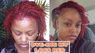 I DYED MY LOCS RED -  6 MONTH STARTER LOCS, NO BLEACH, NO DAMAGE