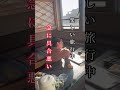 【パニック発作対処法】旅行中急に動悸がきた時どうする？パニック発作対処法#パニック障害#パニック発作#mentalhealth #panicdisorder