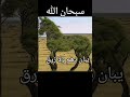 الشيخ محمد البيضي يا عودي البيضي      3