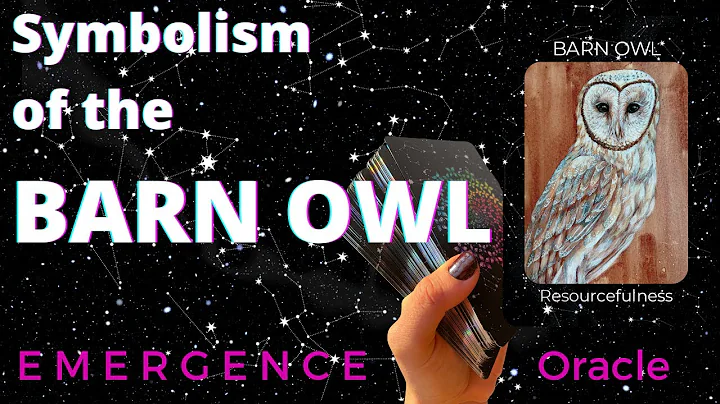 🦉 Spiritual Meaning of Barn Owl Spirit Guide, Emergence Oracle Deck 🦉
