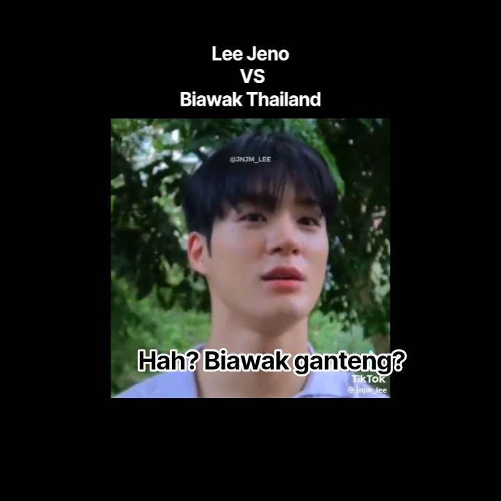 Samoyed diadu biawak🤣 #nomin