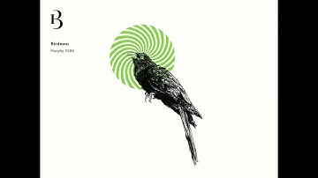 Birdmen - Murphy 2084