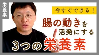 【必見】腸の動きを活発する3つの栄養素とは？