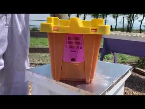 BEEKEEPING - Transferring
